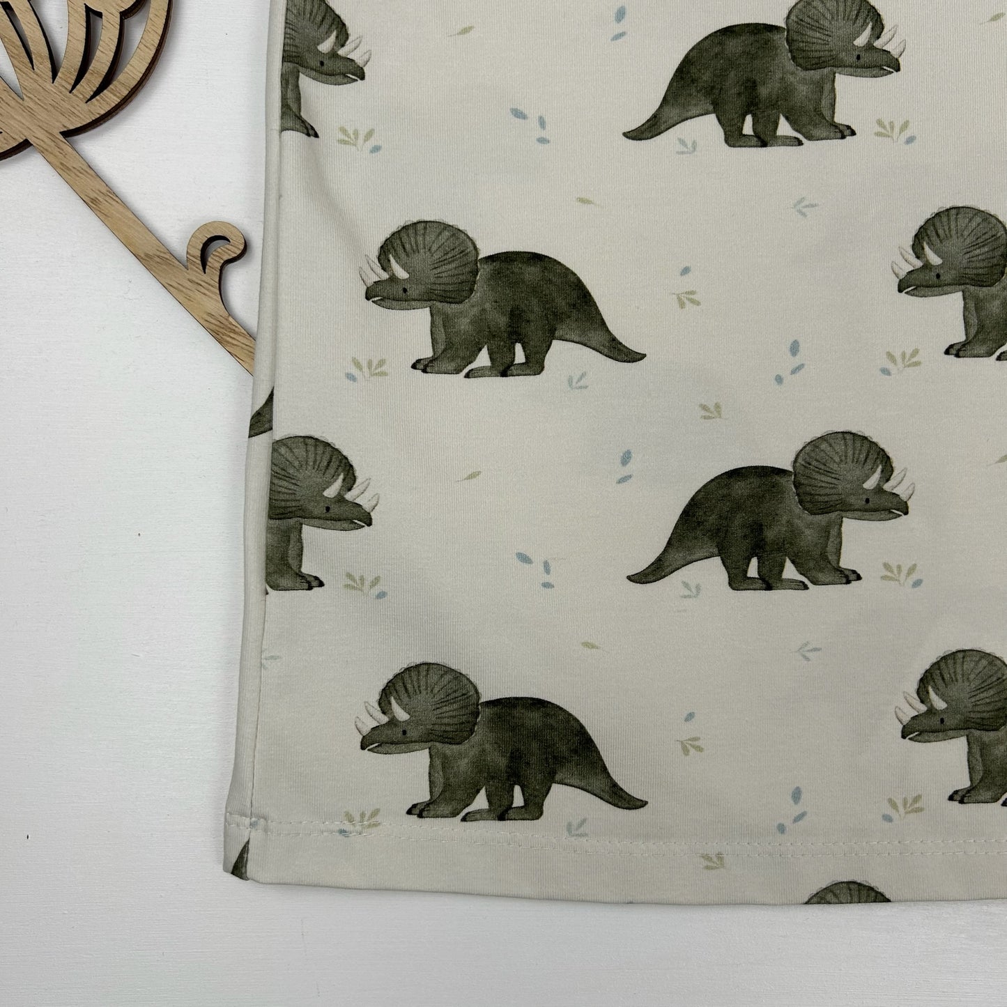 Dino-Abenteuer – Shirt für kleine Urzeit-Fans